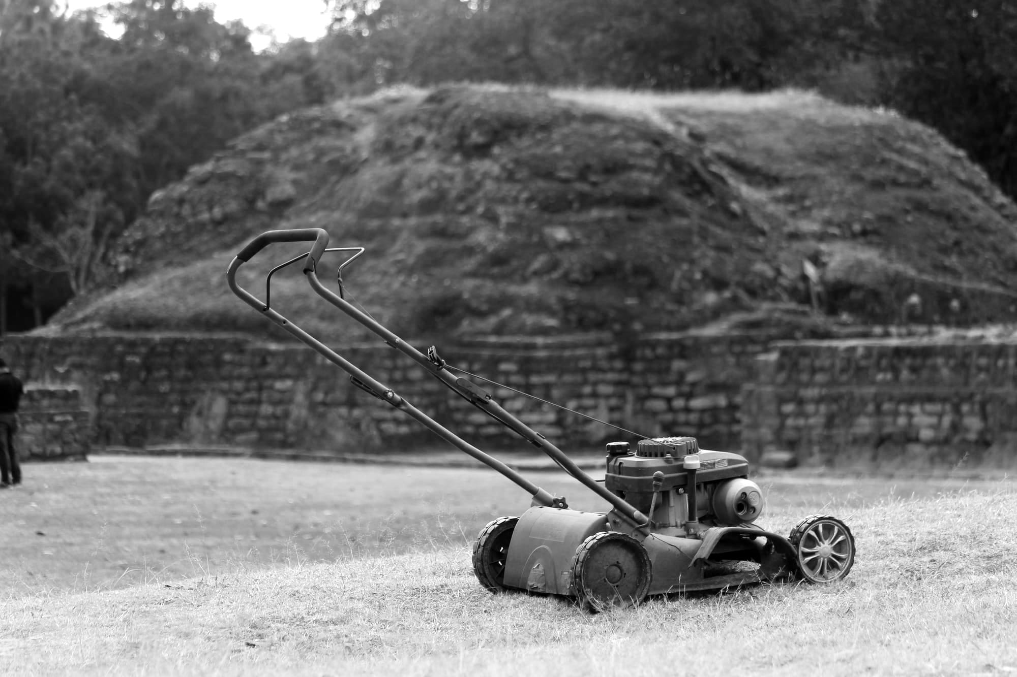 Lawns and Laundry