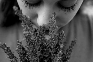 Are You Using Your Clients’ Senses to Set Yourself Apart?
