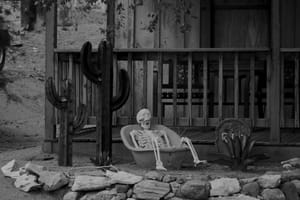 A Comfortable Death