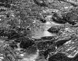 Creative Revenue Streams to Consider